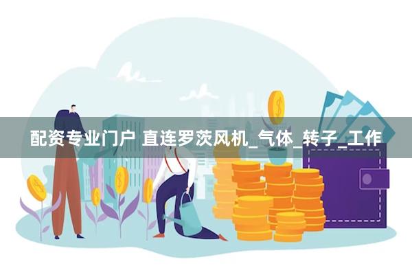 配资专业门户 直连罗茨风机_气体_转子_工作
