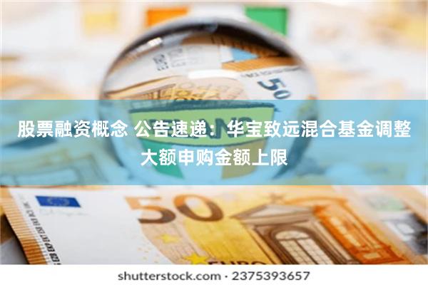 股票融资概念 公告速递：华宝致远混合基金调整大额申购金额上限