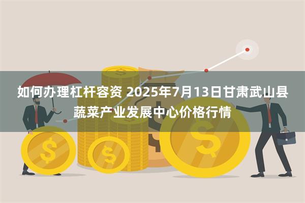 如何办理杠杆容资 2025年7月13日甘肃武山县蔬菜产业发展中心价格行情