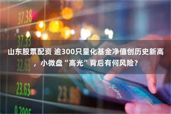 山东股票配资 逾300只量化基金净值创历史新高，小微盘“高光”背后有何风险？