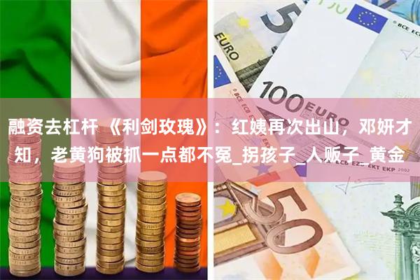 融资去杠杆 《利剑玫瑰》：红姨再次出山，邓妍才知，老黄狗被抓一点都不冤_拐孩子_人贩子_黄金
