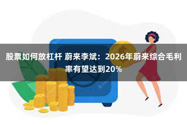 股票如何放杠杆 蔚来李斌:2026年蔚来综合毛利率有望达到20%
